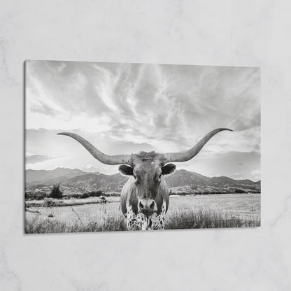Texas Longhorn Portrait Canvas Wall Art, Mountain Sky Background on gallery wrap