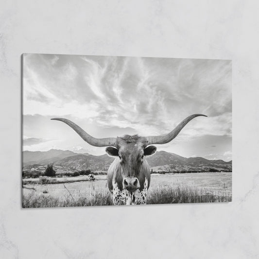 Texas Longhorn Portrait Canvas Wall Art, Mountain Sky Background on gallery wrap