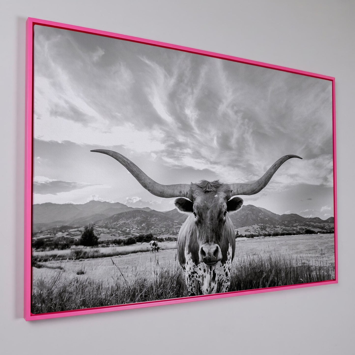 Texas Longhorn Portrait Canvas Wall Art, Mountain Sky Background in pink floating frame