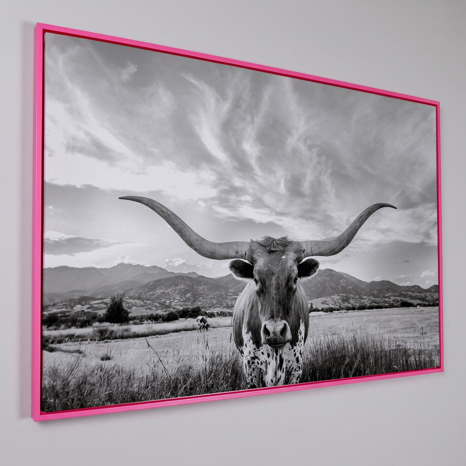 Texas Longhorn Portrait Canvas Wall Art, Mountain Sky Background in pink floating frame