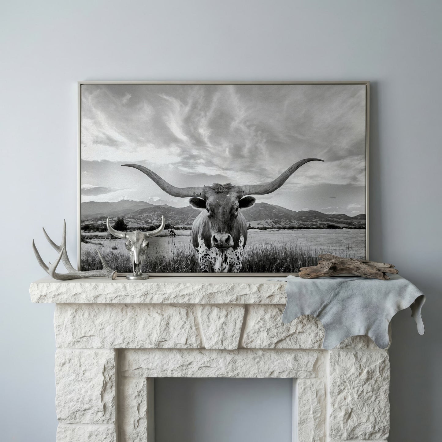 Texas Longhorn Portrait Canvas Wall Art, Mountain Sky Background in silver floating frame