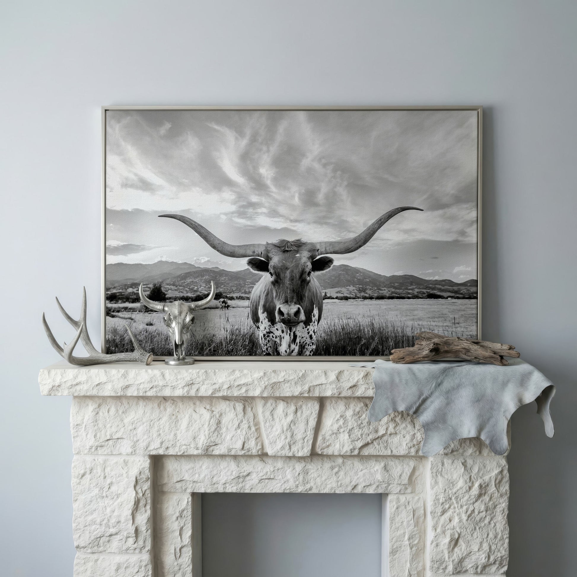 Texas Longhorn Portrait Canvas Wall Art, Mountain Sky Background in silver floating frame