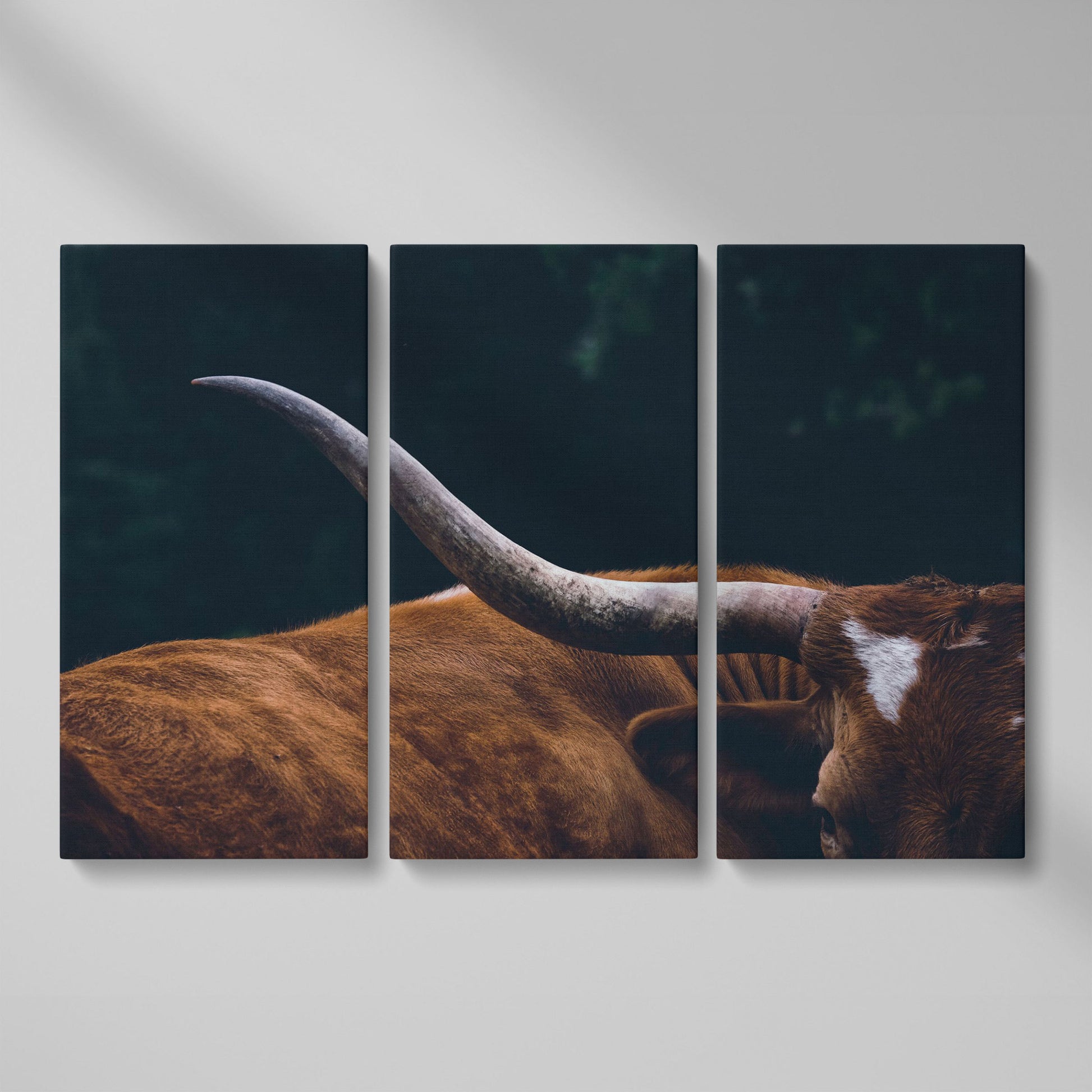 Texas Longhorn Close-Up Canvas Wall Art, Western Farmhouse Decor as 3-panel split version