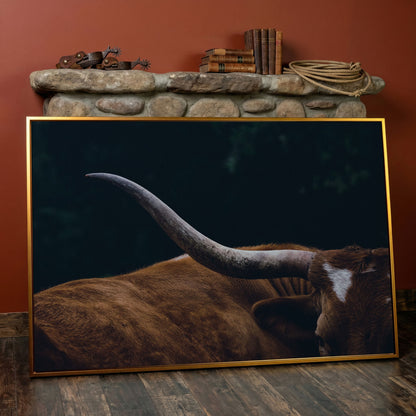 Texas Longhorn Close-Up Canvas Wall Art, Western Farmhouse Decor in antique gold floating frame