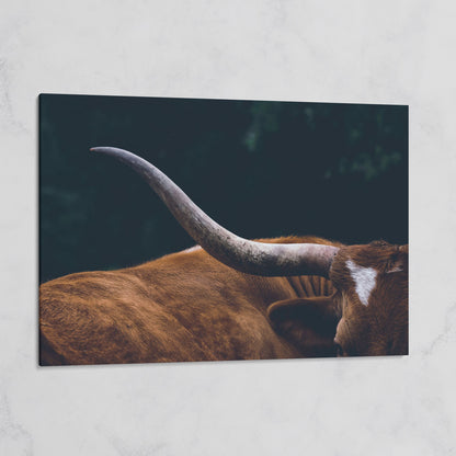 Texas Longhorn Close-Up Canvas Wall Art, Western Farmhouse Decor on gallery wrap