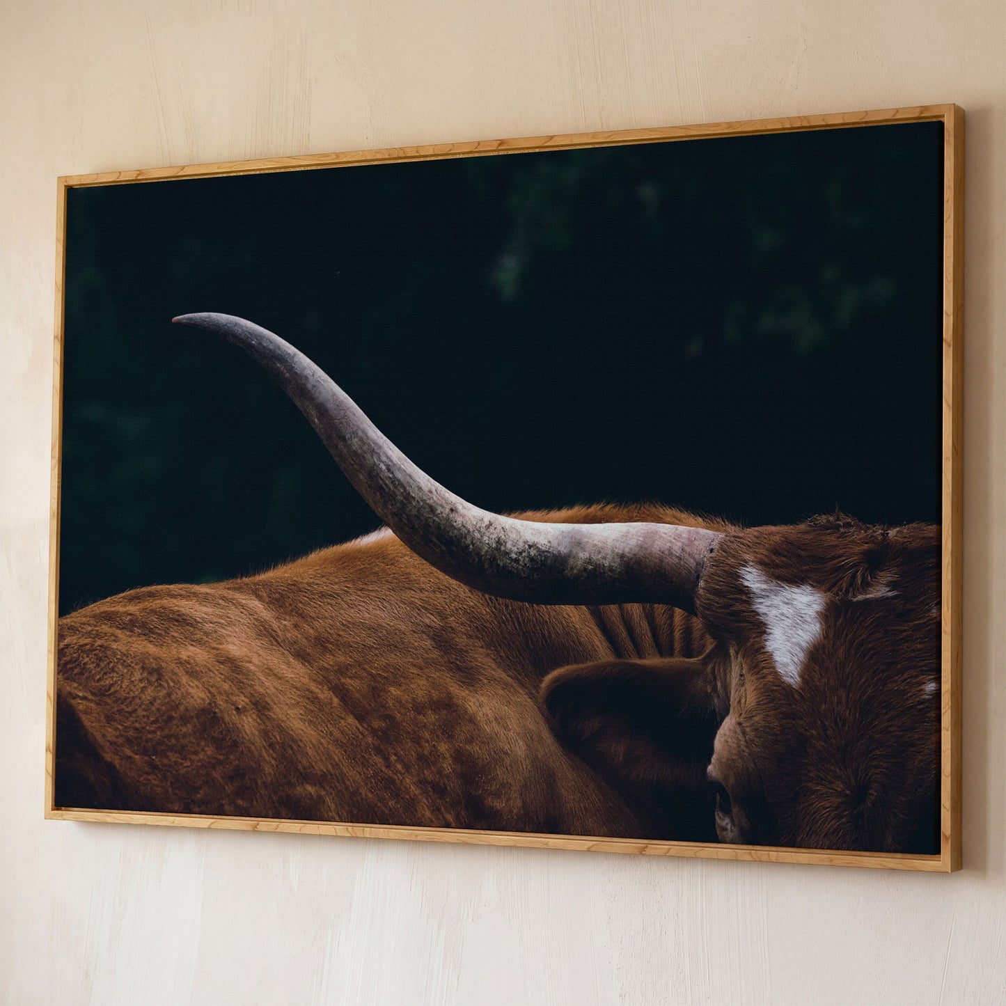 Texas Longhorn Close-Up Canvas Wall Art, Western Farmhouse Decor shown in white oak floating frame