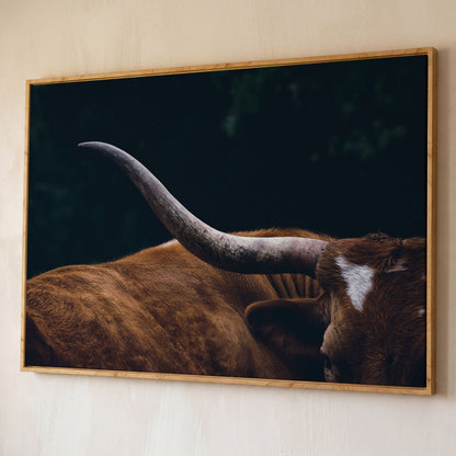 Texas Longhorn Close-Up Canvas Wall Art, Western Farmhouse Decor shown in white oak floating frame
