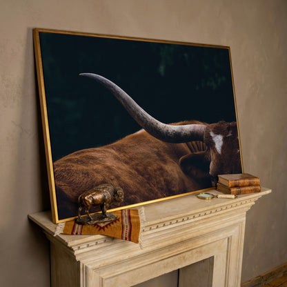 Texas Longhorn Close-Up Canvas Wall Art, Western Farmhouse Decor in rose gold floating frame