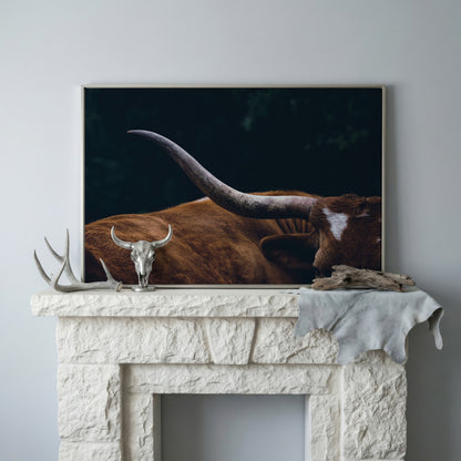 Texas Longhorn Close-Up Canvas Wall Art, Western Farmhouse Decor in silver floating frame
