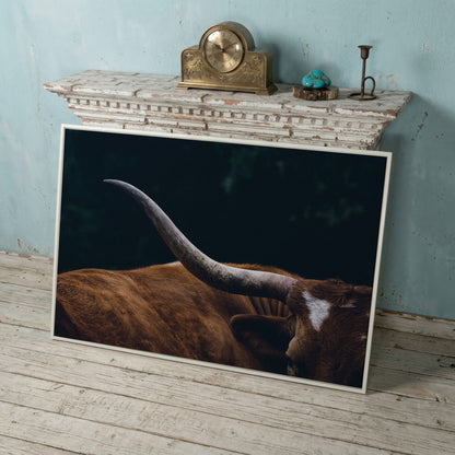 Texas Longhorn Close-Up Canvas Wall Art, Western Farmhouse Decor in white floating frame