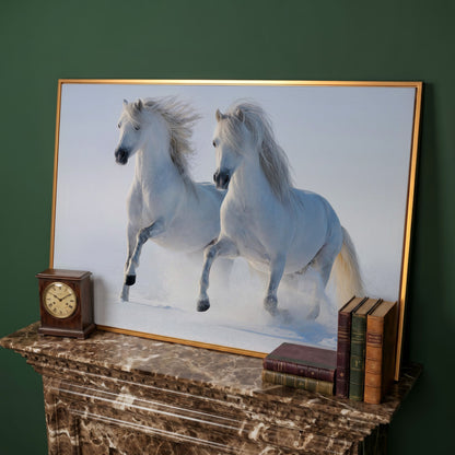 Two White Horses Running Through Snow. Canvas Wall Art in antique gold floating frame