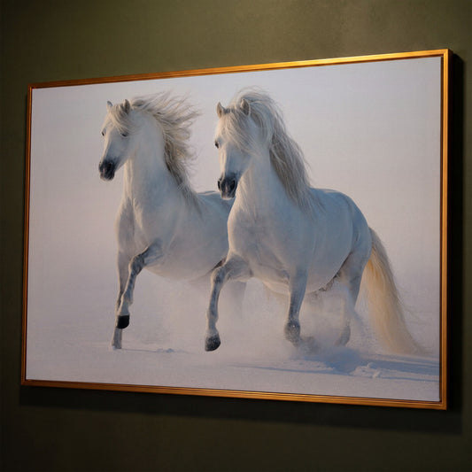 Two White Horses Running Through Snow. Canvas Wall Art shown in antique gold floating frame