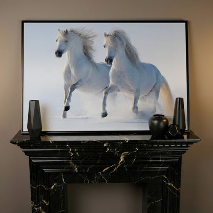 Two White Horses Running Through Snow. Canvas Wall Art in black floating frame