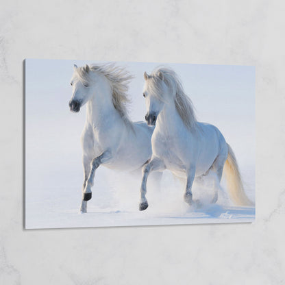 Two White Horses Running Through Snow. Canvas Wall Art on gallery wrap