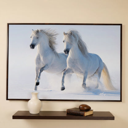 Two White Horses Running Through Snow. Canvas Wall Art in dark walnut floating frame