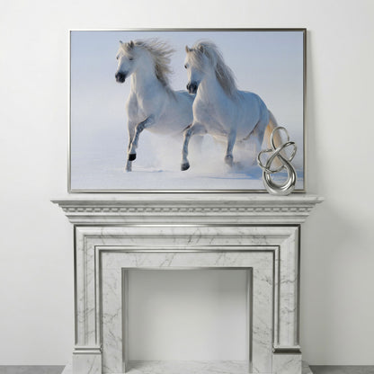 Two White Horses Running Through Snow. Canvas Wall Art in silver floating frame