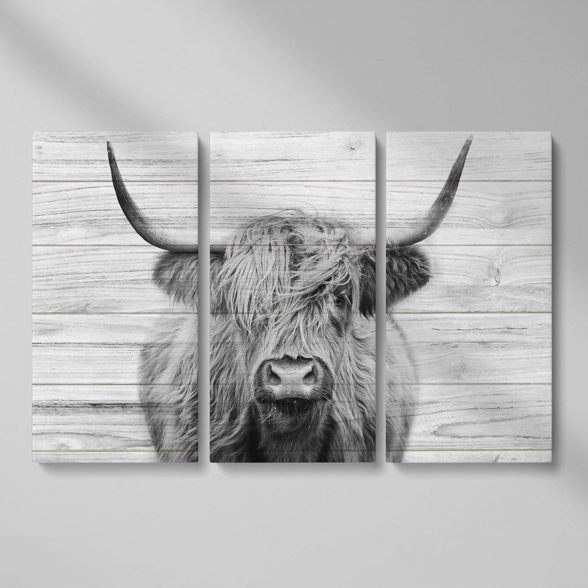 Highland Cow Portrait Canvas Wall Art, Large Horns Close-Up as 3-panel split version