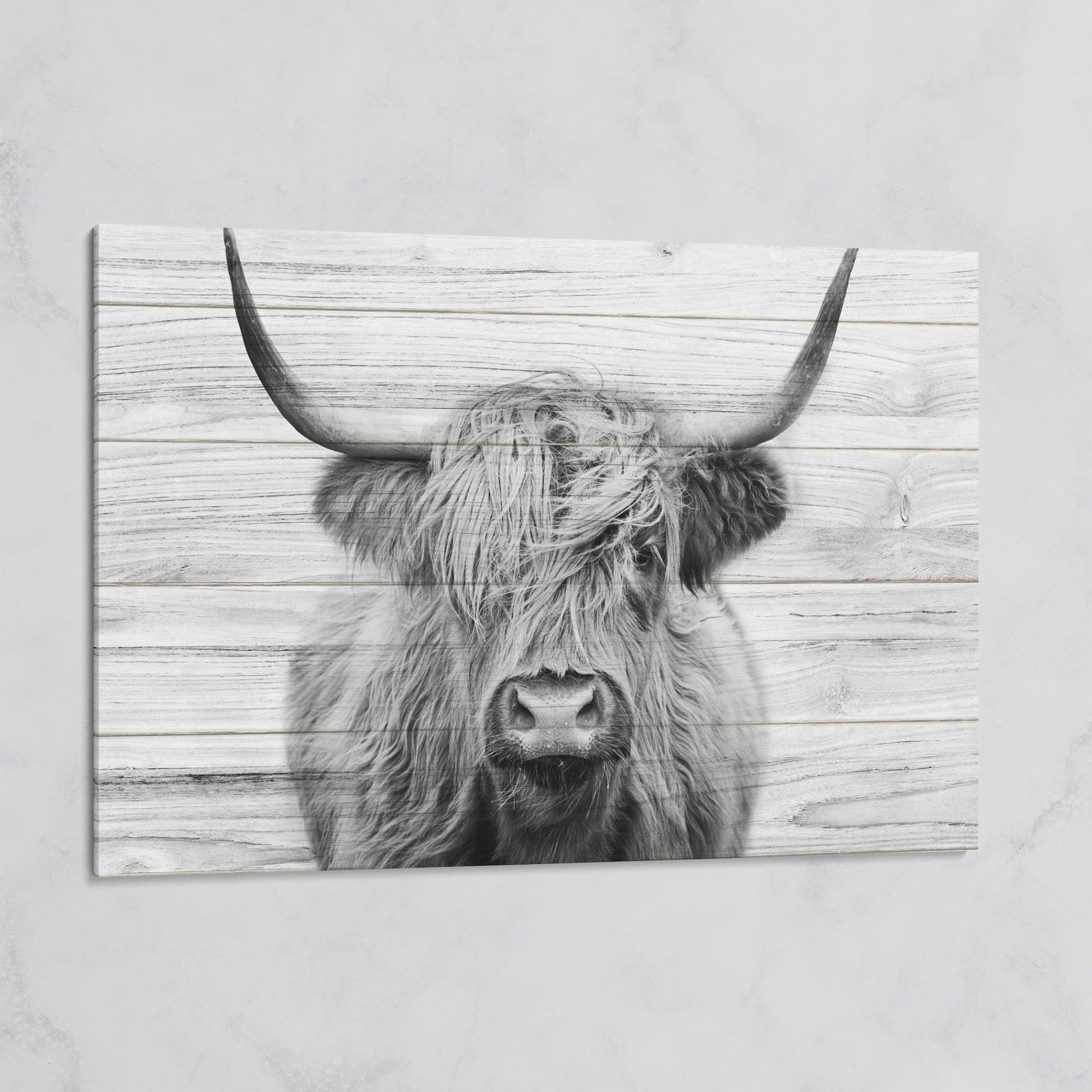 Highland Cow Portrait Canvas Wall Art, Large Horns Close-Up on gallery wrap