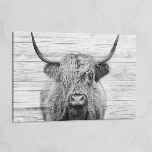 Highland Cow Portrait Canvas Wall Art, Large Horns Close-Up on gallery wrap