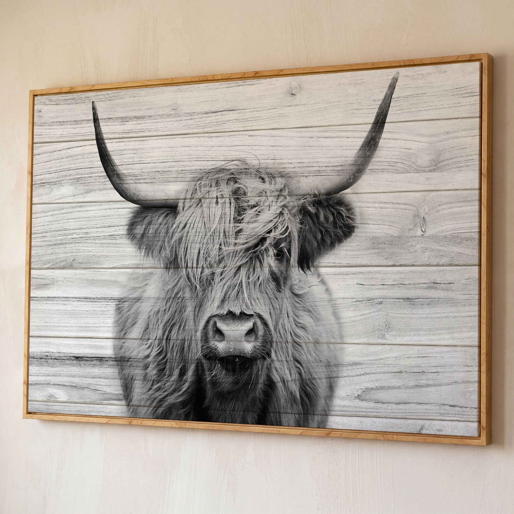 Highland Cow Portrait Canvas Wall Art, Large Horns Close-Up shown in white oak floating frame