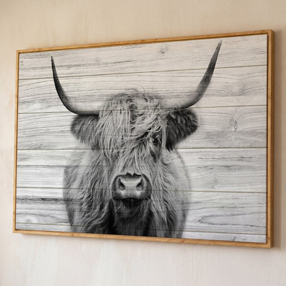 Highland Cow Portrait Canvas Wall Art, Large Horns Close-Up shown in white oak floating frame