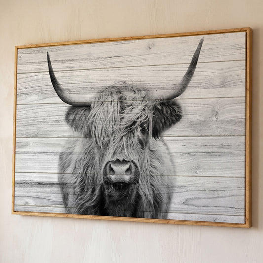 Highland Cow Portrait Canvas Wall Art, Large Horns Close-Up shown in white oak floating frame