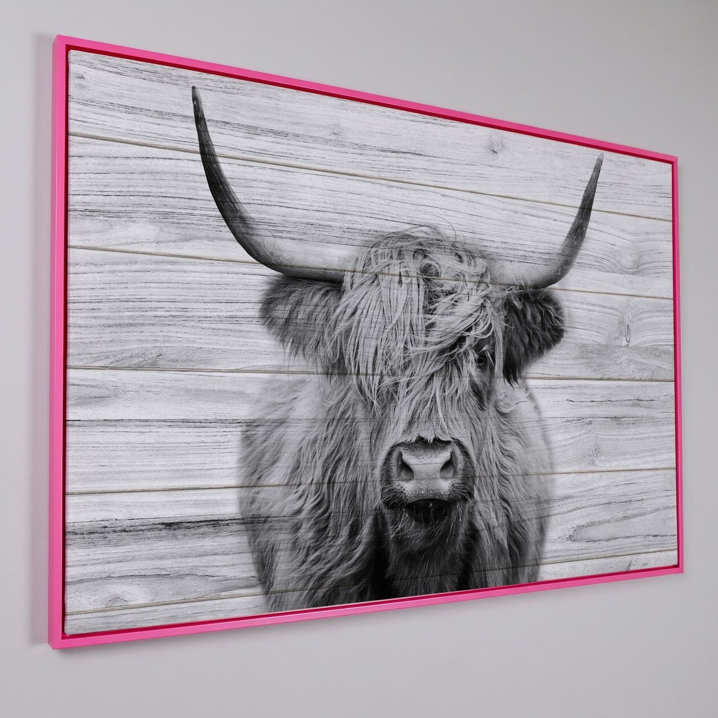 Highland Cow Portrait Canvas Wall Art, Large Horns Close-Up in pink floating frame