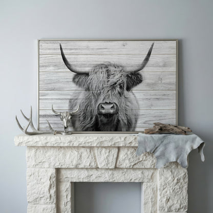 Highland Cow Portrait Canvas Wall Art, Large Horns Close-Up in silver floating frame