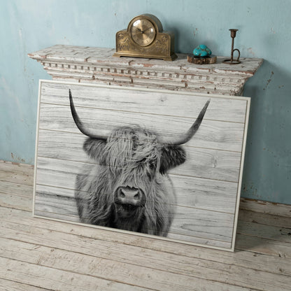 Highland Cow Portrait Canvas Wall Art, Large Horns Close-Up in white floating frame