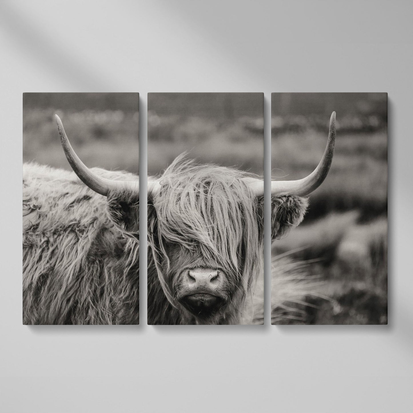 Highland Cow Close-Up Canvas Wall Art, Landscape Portrait as 3-panel split version