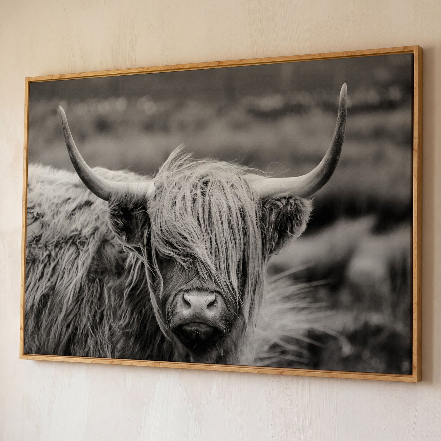 Highland Cow Close-Up Canvas Wall Art, Landscape Portrait shown in white oak floating frame