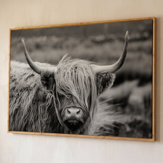 Highland Cow Close-Up Canvas Wall Art, Landscape Portrait shown in white oak floating frame
