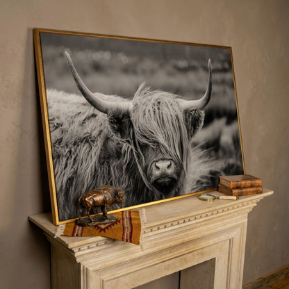 Highland Cow Close-Up Canvas Wall Art, Landscape Portrait in rose gold floating frame