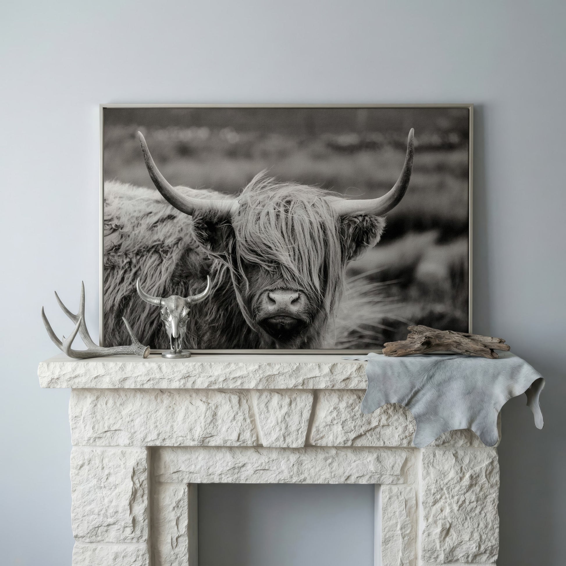 Highland Cow Close-Up Canvas Wall Art, Landscape Portrait in silver floating frame