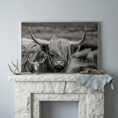 Highland Cow Close-Up Canvas Wall Art, Landscape Portrait in silver floating frame