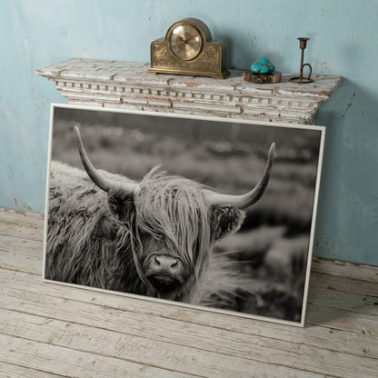 Highland Cow Close-Up Canvas Wall Art, Landscape Portrait in white floating frame