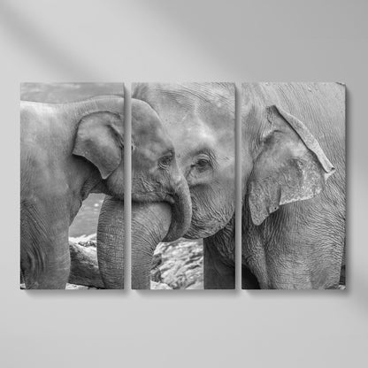Two Elephants, Trunks Entwined. Canvas Wall Art as 3-panel split version