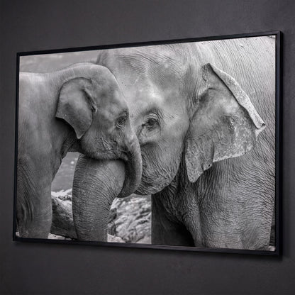 Two Elephants, Trunks Entwined. Canvas Wall Art shown in black floating frame
