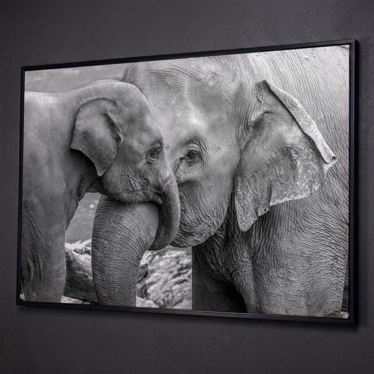 Two Elephants, Trunks Entwined. Canvas Wall Art shown in black floating frame