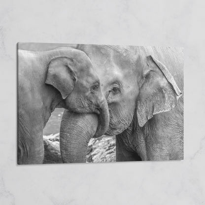Two Elephants, Trunks Entwined. Canvas Wall Art on gallery wrap