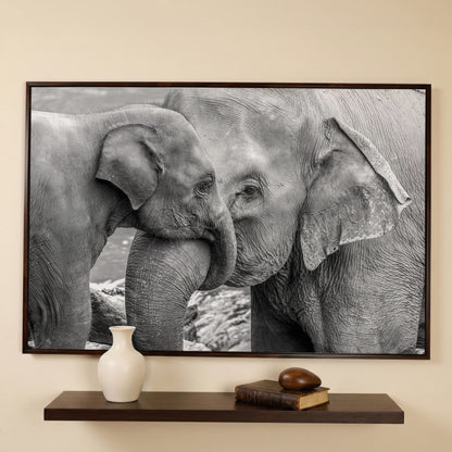 Two Elephants, Trunks Entwined. Canvas Wall Art in dark walnut floating frame