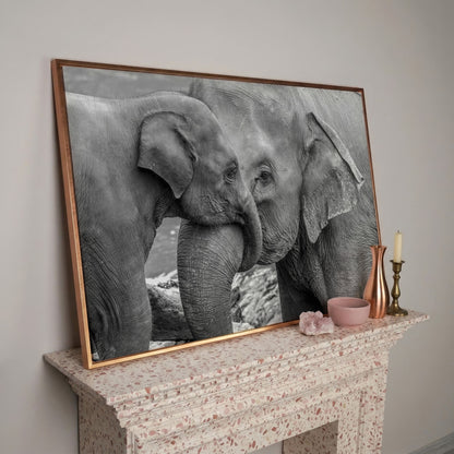 Two Elephants, Trunks Entwined. Canvas Wall Art in rose gold floating frame