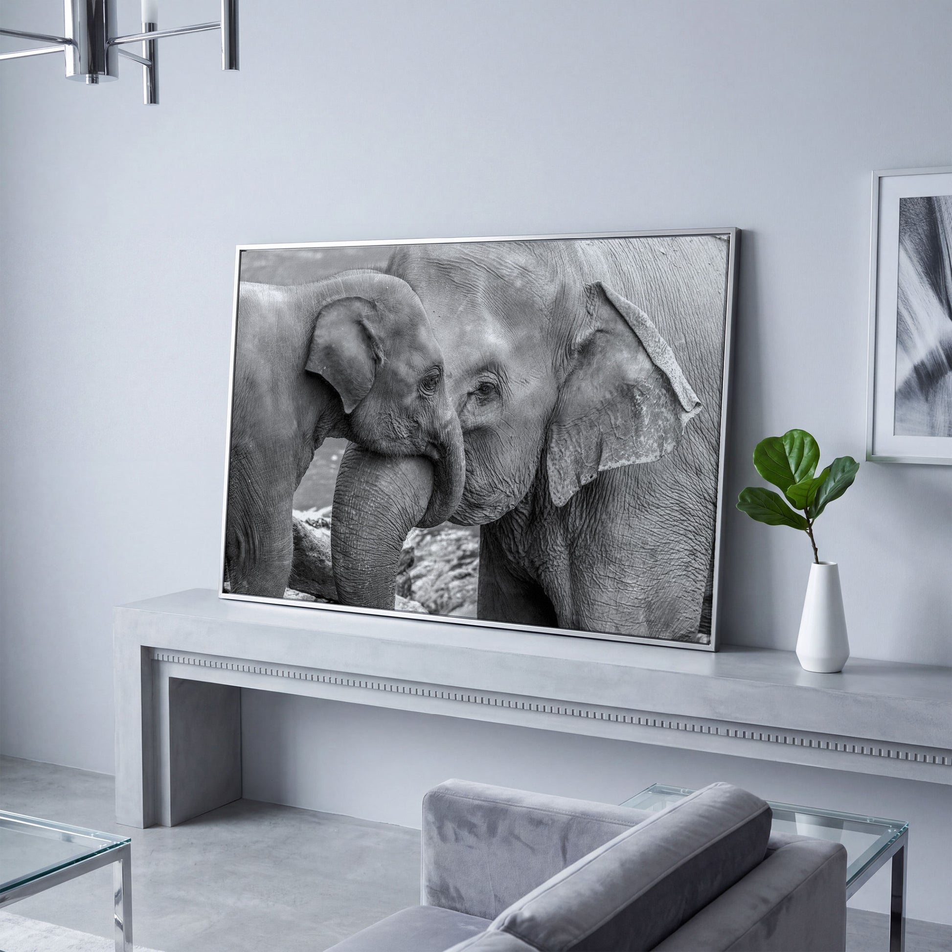 Two Elephants, Trunks Entwined. Canvas Wall Art in silver floating frame