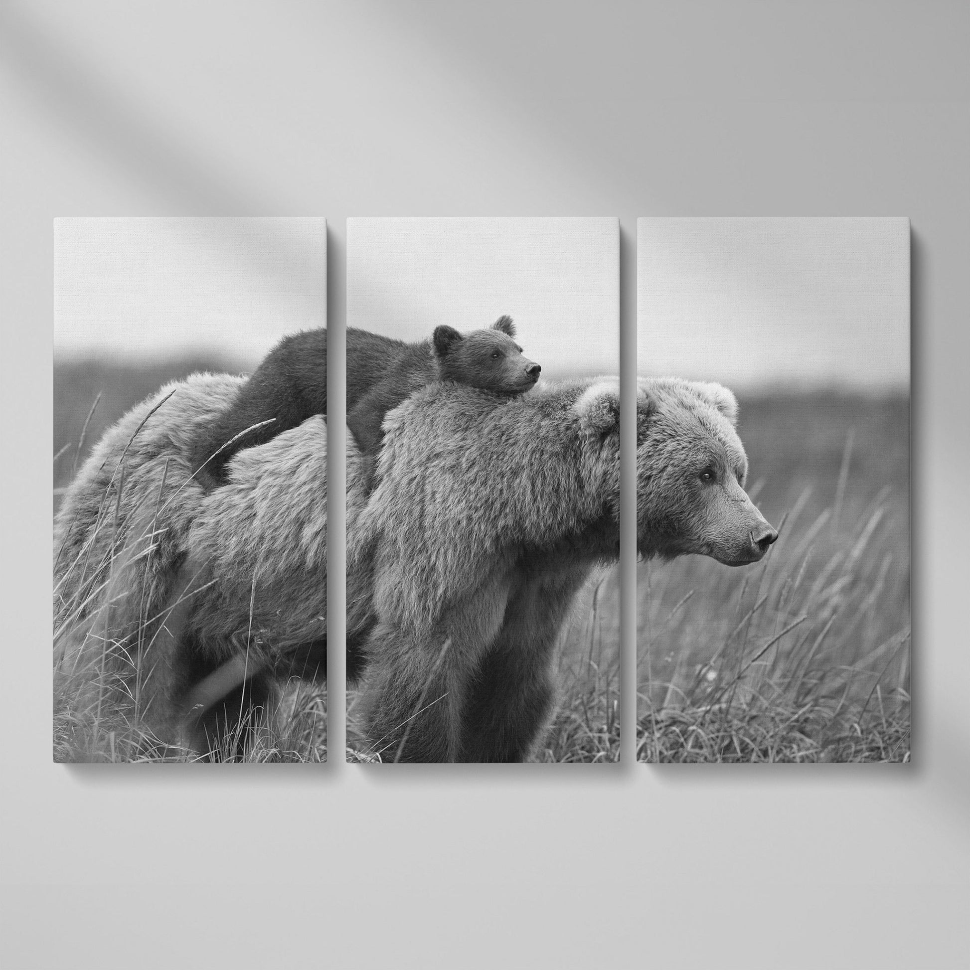 Brown Bear and Cub in Tall Grass. Canvas Wall Art as 3-panel split version