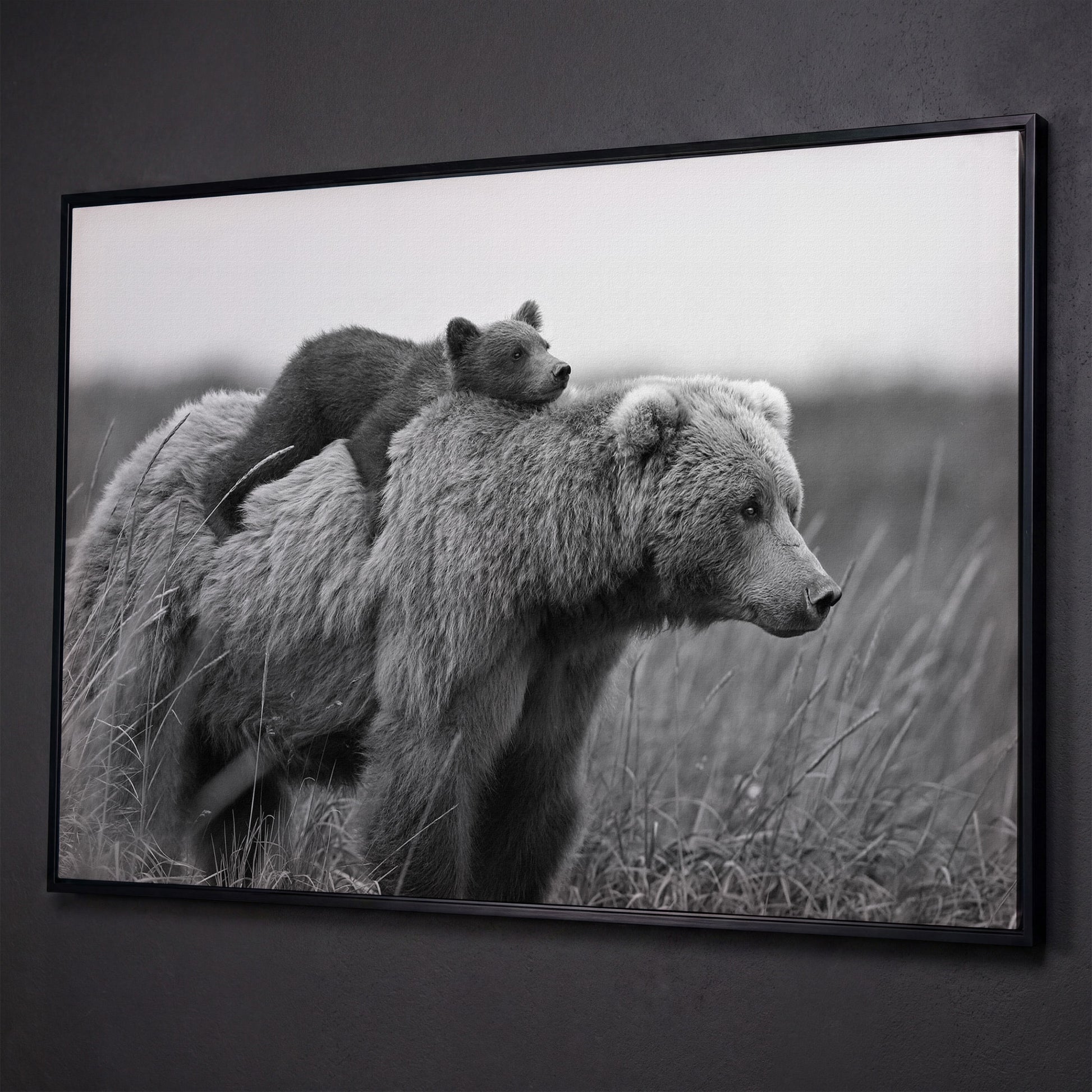 Brown Bear and Cub in Tall Grass. Canvas Wall Art shown in black floating frame