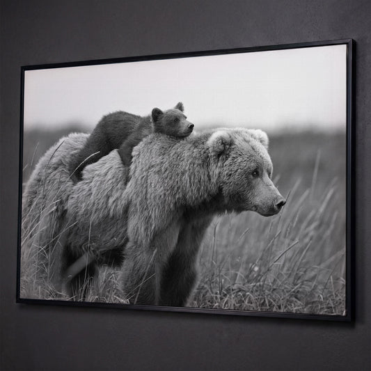 Brown Bear and Cub in Tall Grass. Canvas Wall Art shown in black floating frame