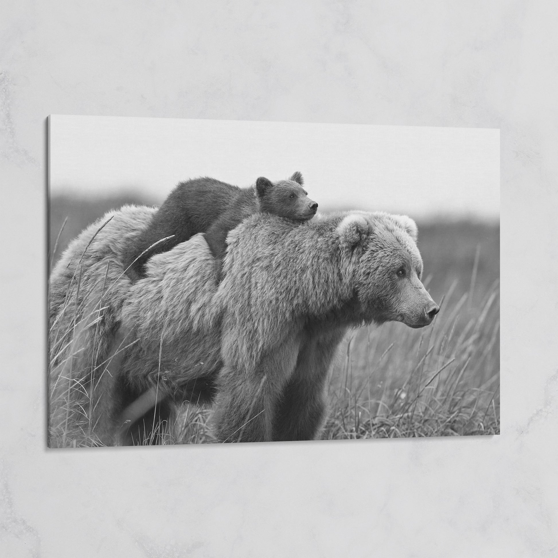 Brown Bear and Cub in Tall Grass. Canvas Wall Art on gallery wrap
