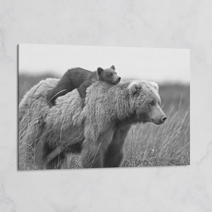 Brown Bear and Cub in Tall Grass. Canvas Wall Art on gallery wrap