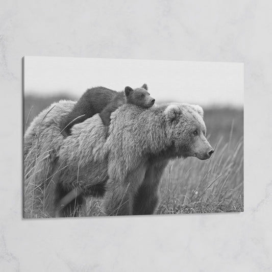 Brown Bear and Cub in Tall Grass. Canvas Wall Art on gallery wrap