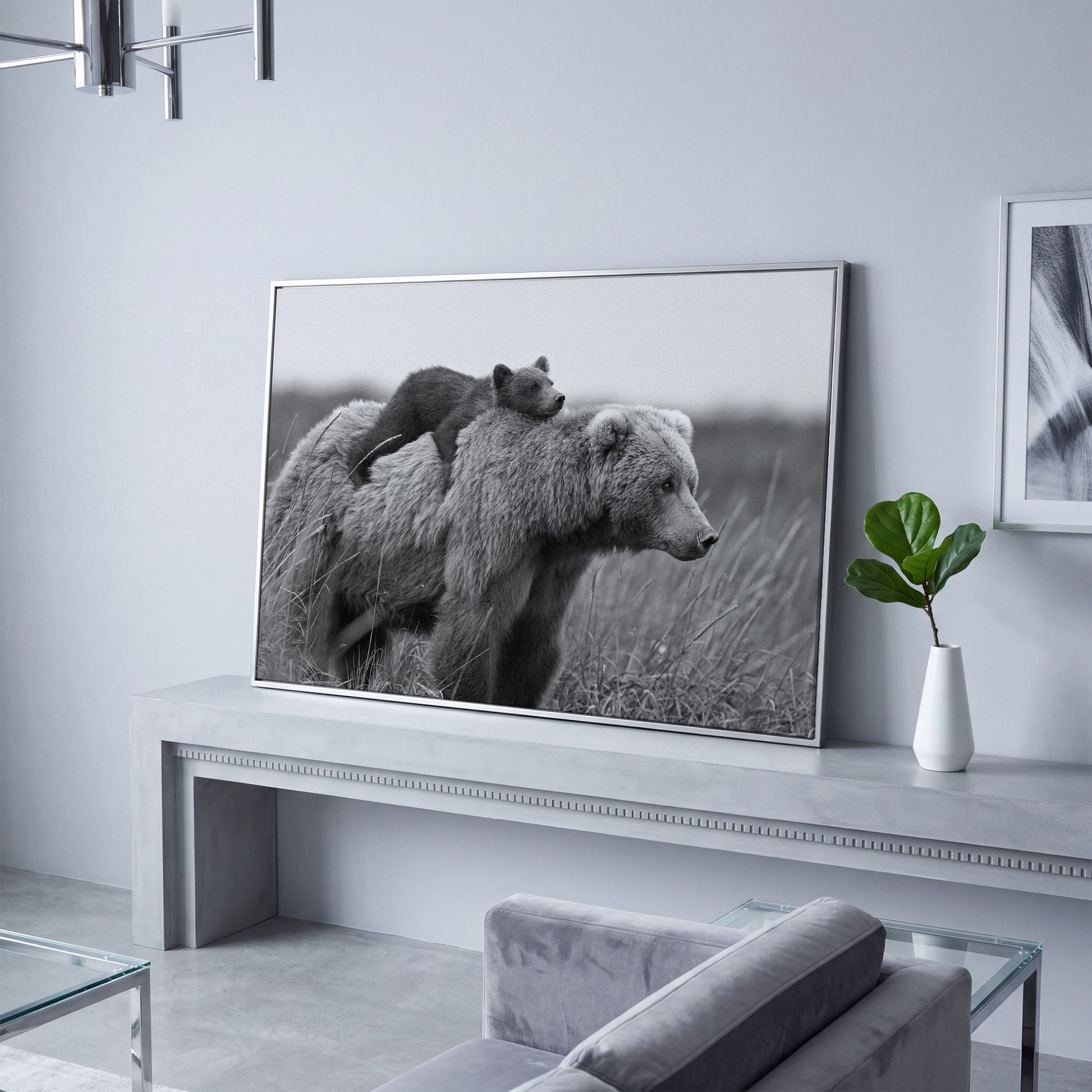 Brown Bear and Cub in Tall Grass. Canvas Wall Art in silver floating frame
